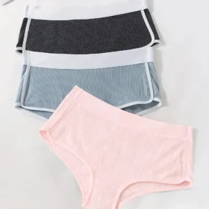 Ultra-Comfort Seamless Women Panties | Breathable Soft Stretch Mid-Waist Underwear for Everyday Wear( pack of 3 )