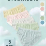 Luxury Seamless Women Panties | Ultra-Soft Breathable Stretch Underwear for Everyday Comfort( pack of 5 )