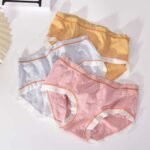 Women’s Seamless Soft Cotton Panties | Breathable Mid-Waist Stretch Underwear for Daily Comfort( pack of 3 )
