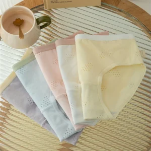 Women’s Seamless Cotton Panty | Soft Mid Waist Everyday Brief | Stretchable Comfortable Innerwear for Women(PACK OF 5)