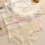Ultra-Soft Women’s Seamless Panties | Breathable Stretch Mid-Waist Underwear for Everyday Comfort(PACK OF 5)