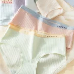 Women’s Luxury Seamless Panties | Ultra-Soft Breathable Stretch Underwear for Everyday Wear ( pack of 3 )